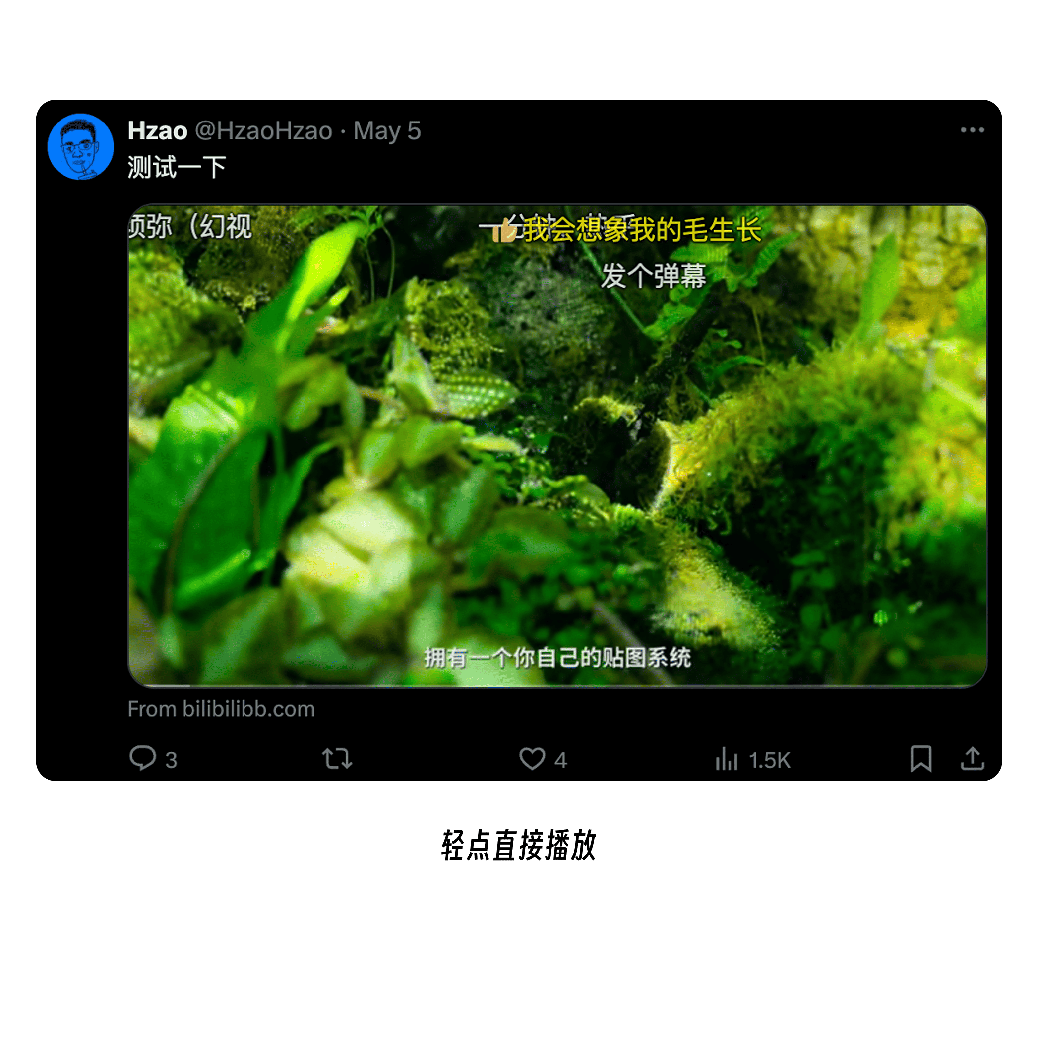 插图6